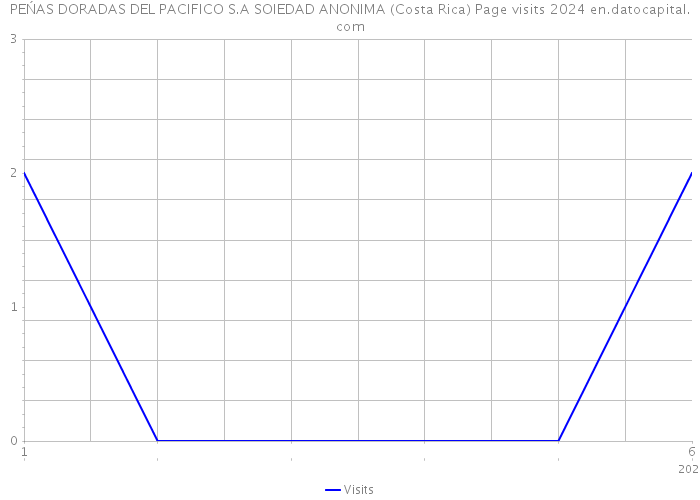 PEŃAS DORADAS DEL PACIFICO S.A SOIEDAD ANONIMA (Costa Rica) Page visits 2024 