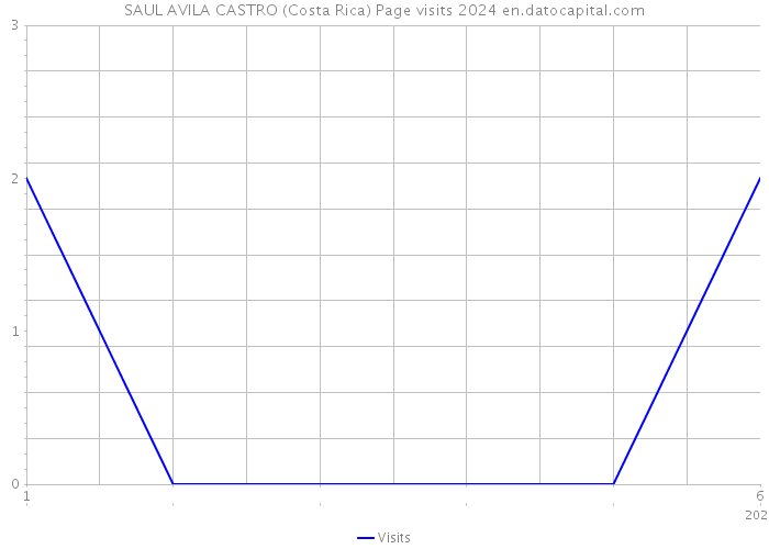 SAUL AVILA CASTRO (Costa Rica) Page visits 2024 