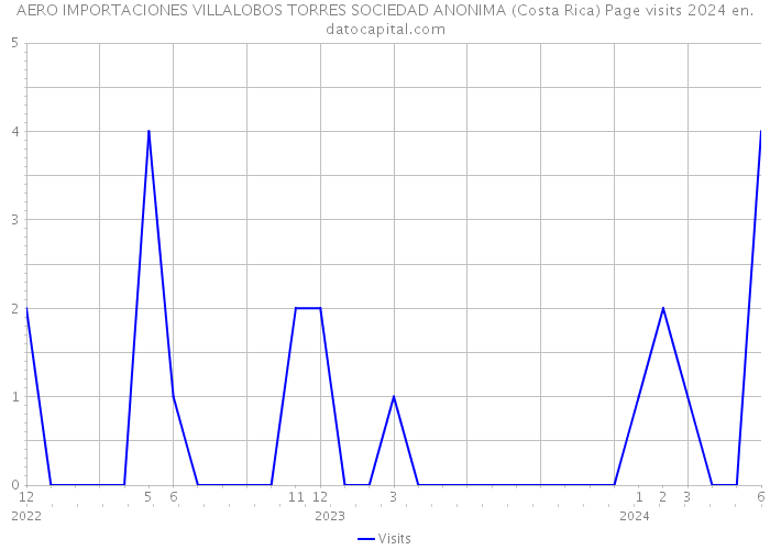 AERO IMPORTACIONES VILLALOBOS TORRES SOCIEDAD ANONIMA (Costa Rica) Page visits 2024 