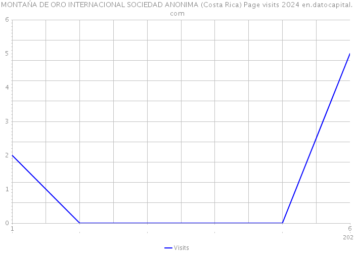 MONTAŃA DE ORO INTERNACIONAL SOCIEDAD ANONIMA (Costa Rica) Page visits 2024 
