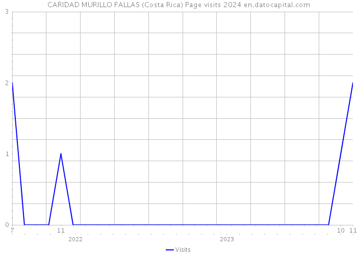 CARIDAD MURILLO FALLAS (Costa Rica) Page visits 2024 