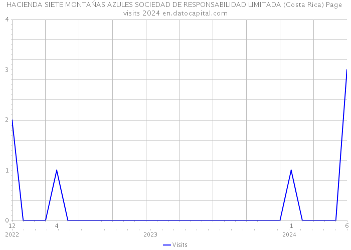 HACIENDA SIETE MONTAŃAS AZULES SOCIEDAD DE RESPONSABILIDAD LIMITADA (Costa Rica) Page visits 2024 