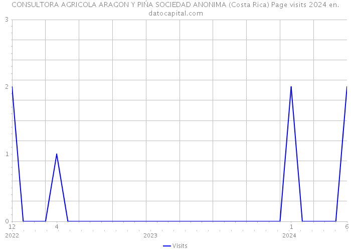 CONSULTORA AGRICOLA ARAGON Y PIŃA SOCIEDAD ANONIMA (Costa Rica) Page visits 2024 