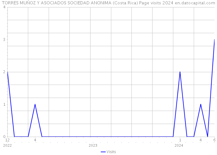 TORRES MUŃOZ Y ASOCIADOS SOCIEDAD ANONIMA (Costa Rica) Page visits 2024 