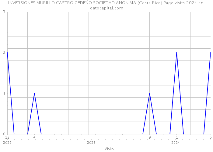 INVERSIONES MURILLO CASTRO CEDEŃO SOCIEDAD ANONIMA (Costa Rica) Page visits 2024 
