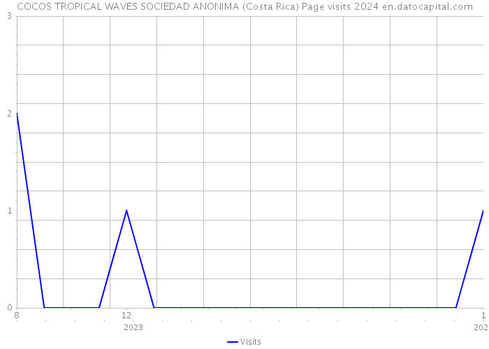 COCOS TROPICAL WAVES SOCIEDAD ANONIMA (Costa Rica) Page visits 2024 