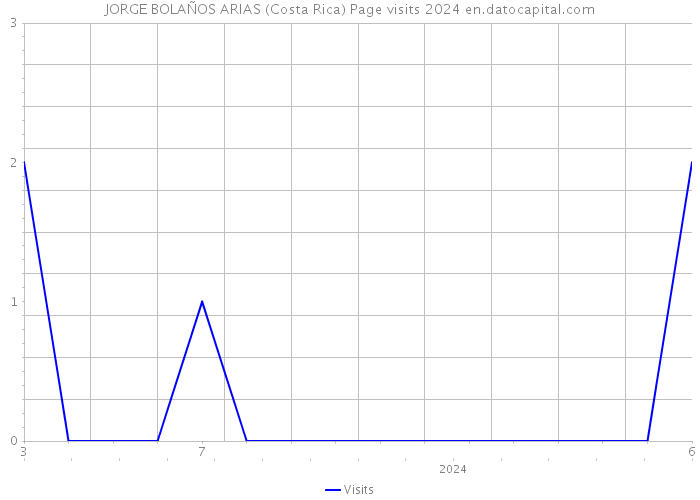 JORGE BOLAÑOS ARIAS (Costa Rica) Page visits 2024 