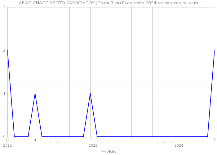 ARIAS CHACON SOTO YASOCIADOS (Costa Rica) Page visits 2024 