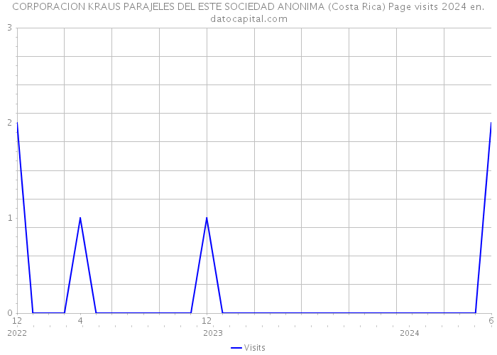 CORPORACION KRAUS PARAJELES DEL ESTE SOCIEDAD ANONIMA (Costa Rica) Page visits 2024 