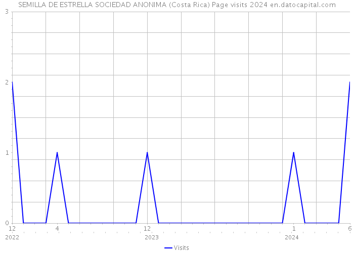 SEMILLA DE ESTRELLA SOCIEDAD ANONIMA (Costa Rica) Page visits 2024 