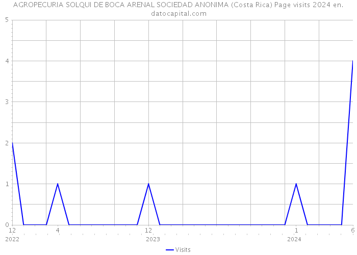 AGROPECURIA SOLQUI DE BOCA ARENAL SOCIEDAD ANONIMA (Costa Rica) Page visits 2024 