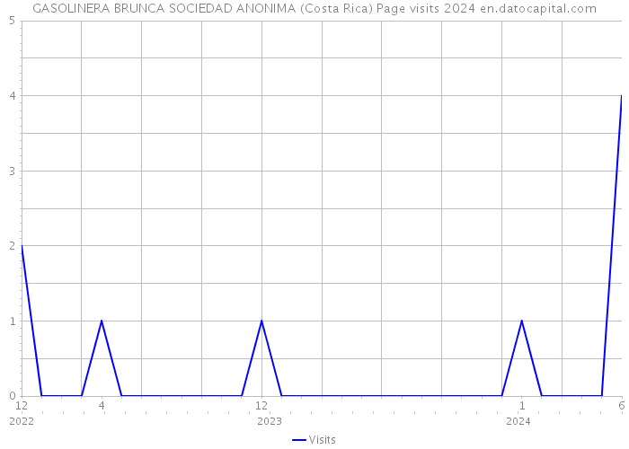 GASOLINERA BRUNCA SOCIEDAD ANONIMA (Costa Rica) Page visits 2024 