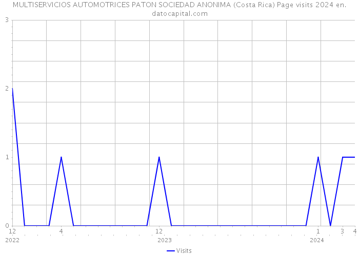 MULTISERVICIOS AUTOMOTRICES PATON SOCIEDAD ANONIMA (Costa Rica) Page visits 2024 