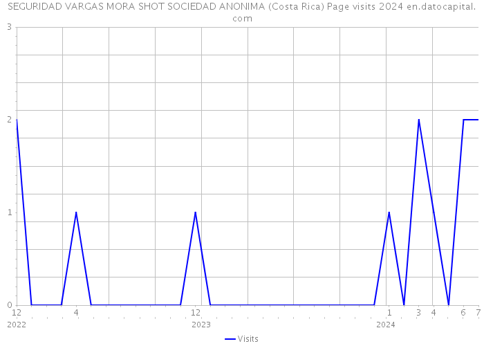 SEGURIDAD VARGAS MORA SHOT SOCIEDAD ANONIMA (Costa Rica) Page visits 2024 