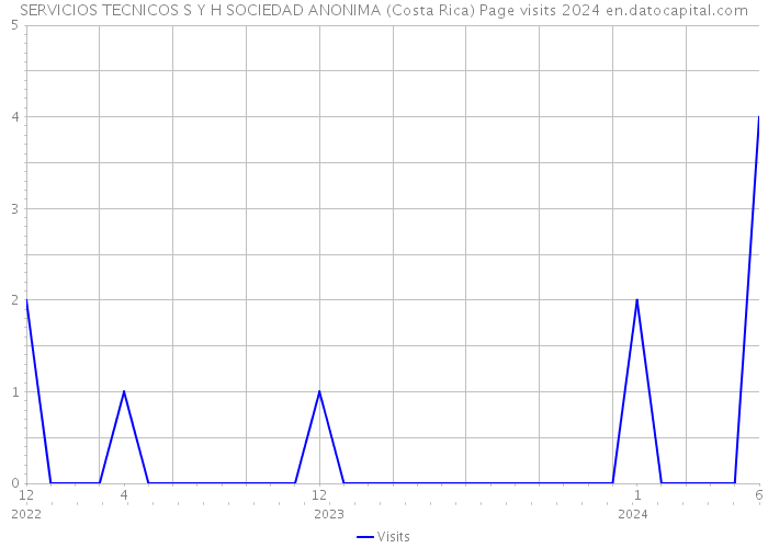 SERVICIOS TECNICOS S Y H SOCIEDAD ANONIMA (Costa Rica) Page visits 2024 