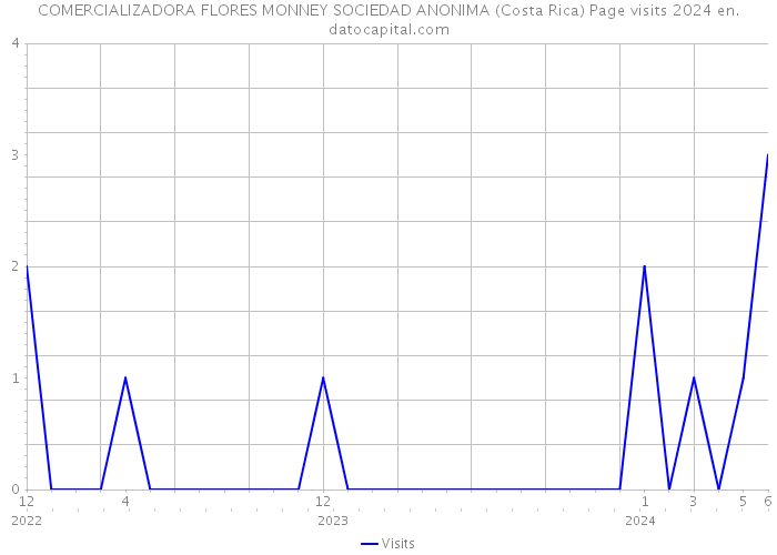 COMERCIALIZADORA FLORES MONNEY SOCIEDAD ANONIMA (Costa Rica) Page visits 2024 