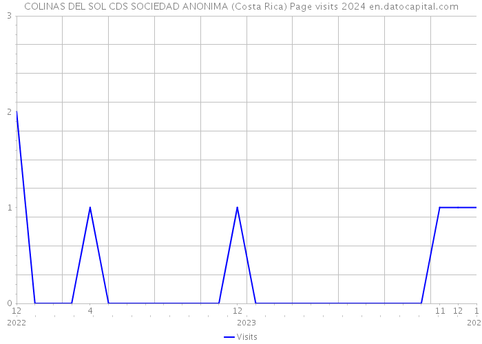 COLINAS DEL SOL CDS SOCIEDAD ANONIMA (Costa Rica) Page visits 2024 