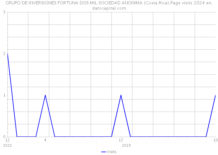 GRUPO DE INVERSIONES FORTUNA DOS MIL SOCIEDAD ANONIMA (Costa Rica) Page visits 2024 