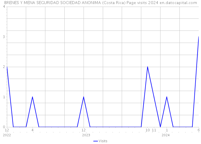 BRENES Y MENA SEGURIDAD SOCIEDAD ANONIMA (Costa Rica) Page visits 2024 