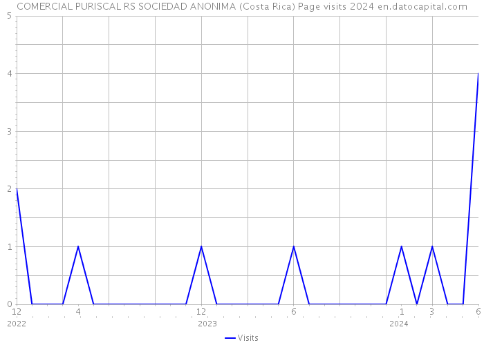 COMERCIAL PURISCAL RS SOCIEDAD ANONIMA (Costa Rica) Page visits 2024 