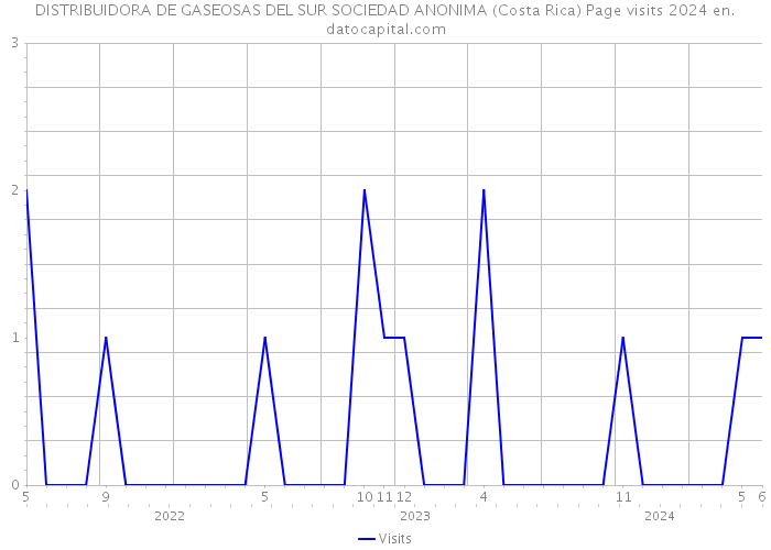 DISTRIBUIDORA DE GASEOSAS DEL SUR SOCIEDAD ANONIMA (Costa Rica) Page visits 2024 