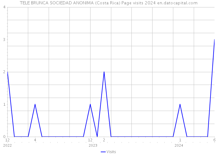 TELE BRUNCA SOCIEDAD ANONIMA (Costa Rica) Page visits 2024 