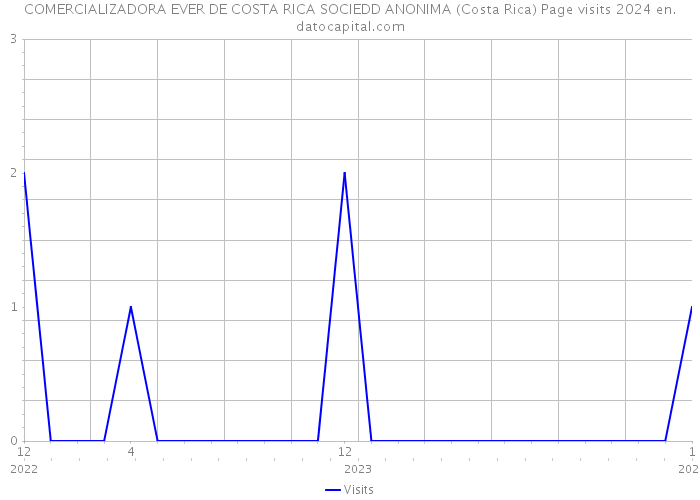 COMERCIALIZADORA EVER DE COSTA RICA SOCIEDD ANONIMA (Costa Rica) Page visits 2024 