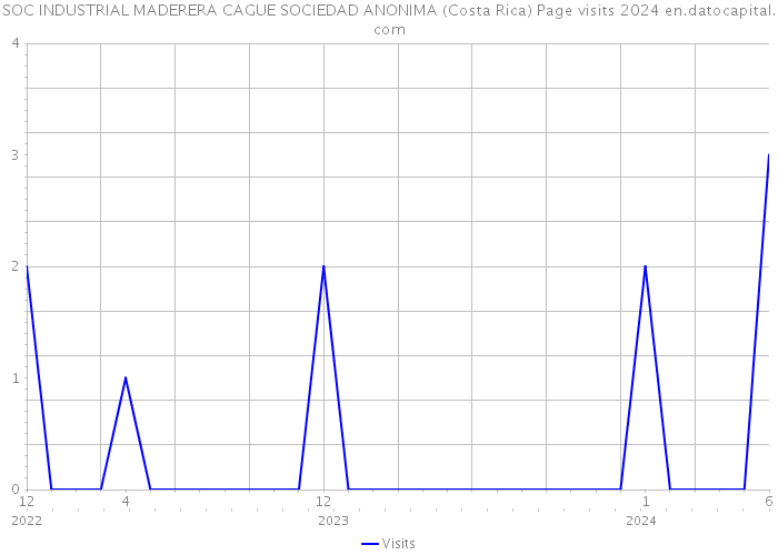 SOC INDUSTRIAL MADERERA CAGUE SOCIEDAD ANONIMA (Costa Rica) Page visits 2024 