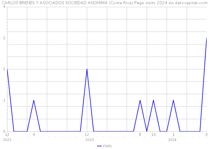 CARLOS BRENES Y ASOCIADOS SOCIEDAD ANONIMA (Costa Rica) Page visits 2024 