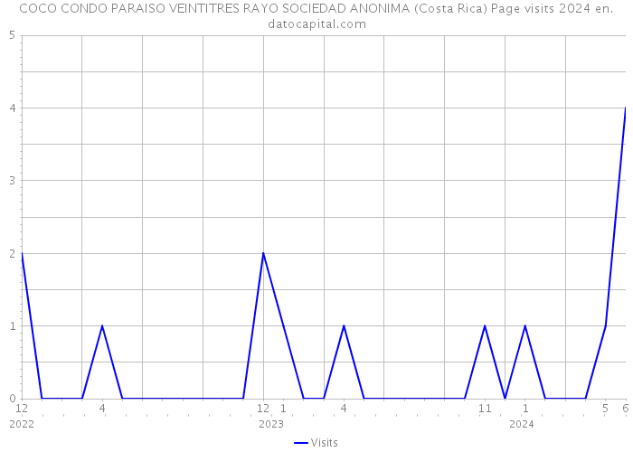 COCO CONDO PARAISO VEINTITRES RAYO SOCIEDAD ANONIMA (Costa Rica) Page visits 2024 