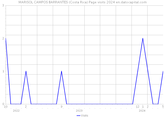 MARISOL CAMPOS BARRANTES (Costa Rica) Page visits 2024 