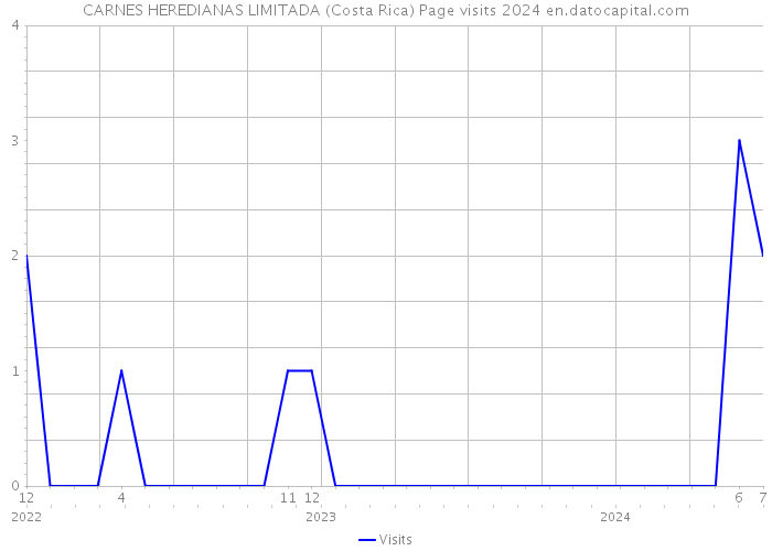 CARNES HEREDIANAS LIMITADA (Costa Rica) Page visits 2024 