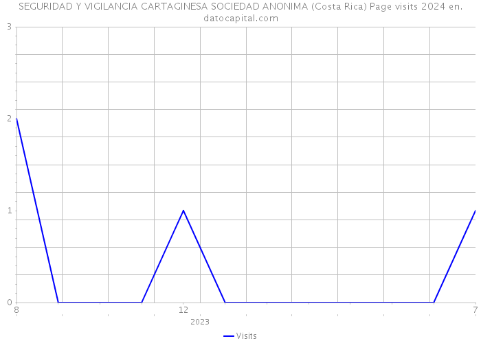 SEGURIDAD Y VIGILANCIA CARTAGINESA SOCIEDAD ANONIMA (Costa Rica) Page visits 2024 