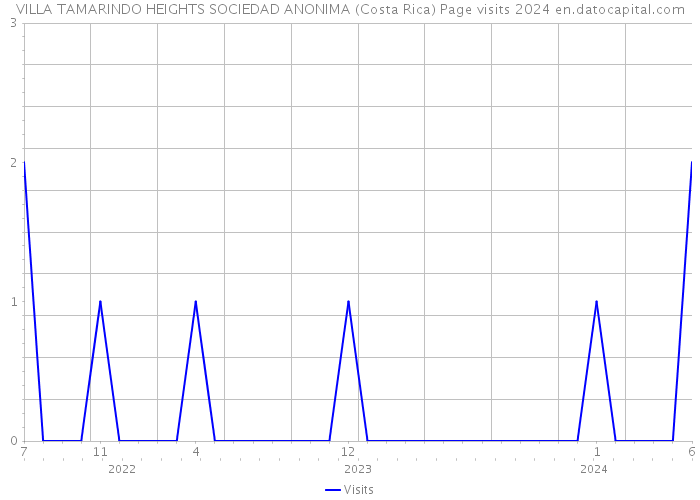 VILLA TAMARINDO HEIGHTS SOCIEDAD ANONIMA (Costa Rica) Page visits 2024 