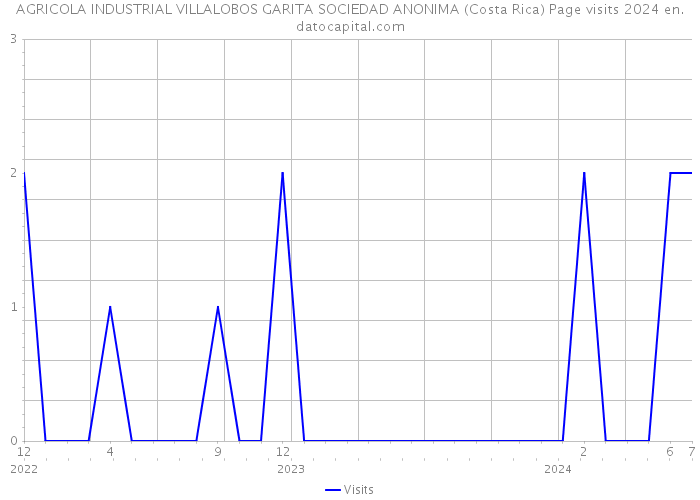 AGRICOLA INDUSTRIAL VILLALOBOS GARITA SOCIEDAD ANONIMA (Costa Rica) Page visits 2024 
