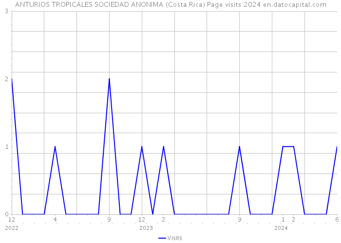 ANTURIOS TROPICALES SOCIEDAD ANONIMA (Costa Rica) Page visits 2024 