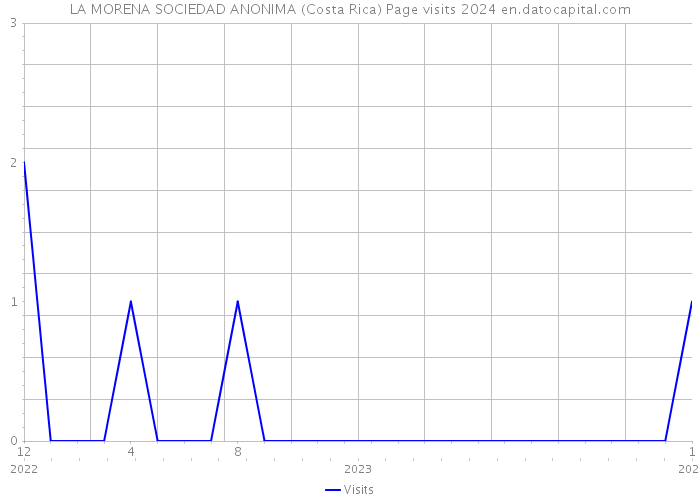LA MORENA SOCIEDAD ANONIMA (Costa Rica) Page visits 2024 