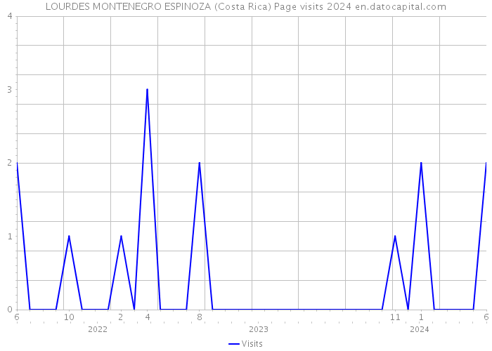 LOURDES MONTENEGRO ESPINOZA (Costa Rica) Page visits 2024 
