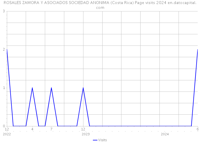 ROSALES ZAMORA Y ASOCIADOS SOCIEDAD ANONIMA (Costa Rica) Page visits 2024 