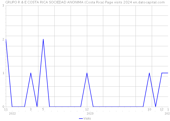 GRUPO R & E COSTA RICA SOCIEDAD ANONIMA (Costa Rica) Page visits 2024 