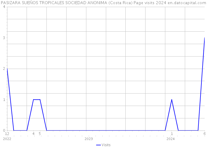 PASIZARA SUEŃOS TROPICALES SOCIEDAD ANONIMA (Costa Rica) Page visits 2024 