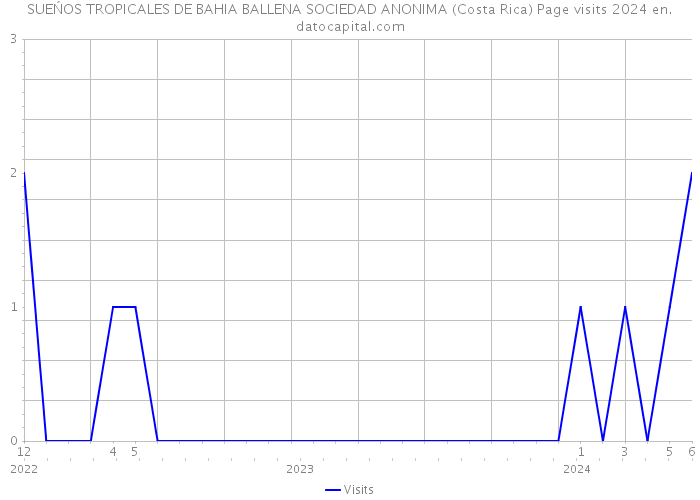 SUEŃOS TROPICALES DE BAHIA BALLENA SOCIEDAD ANONIMA (Costa Rica) Page visits 2024 