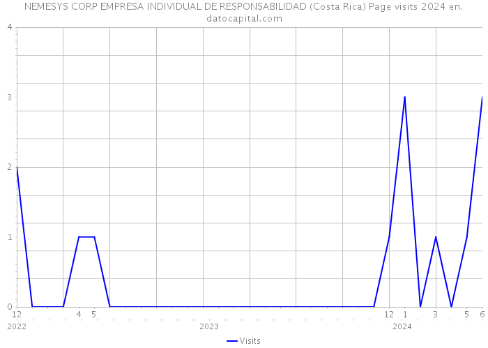 NEMESYS CORP EMPRESA INDIVIDUAL DE RESPONSABILIDAD (Costa Rica) Page visits 2024 