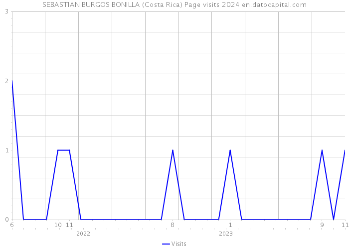 SEBASTIAN BURGOS BONILLA (Costa Rica) Page visits 2024 