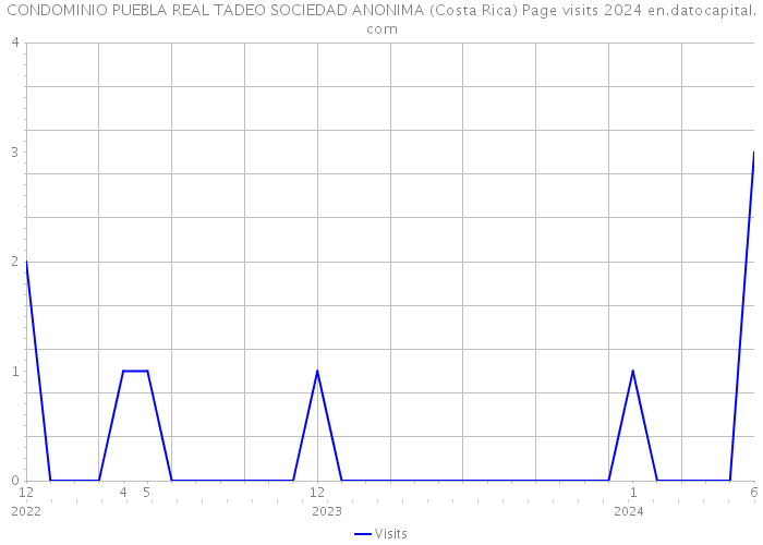 CONDOMINIO PUEBLA REAL TADEO SOCIEDAD ANONIMA (Costa Rica) Page visits 2024 