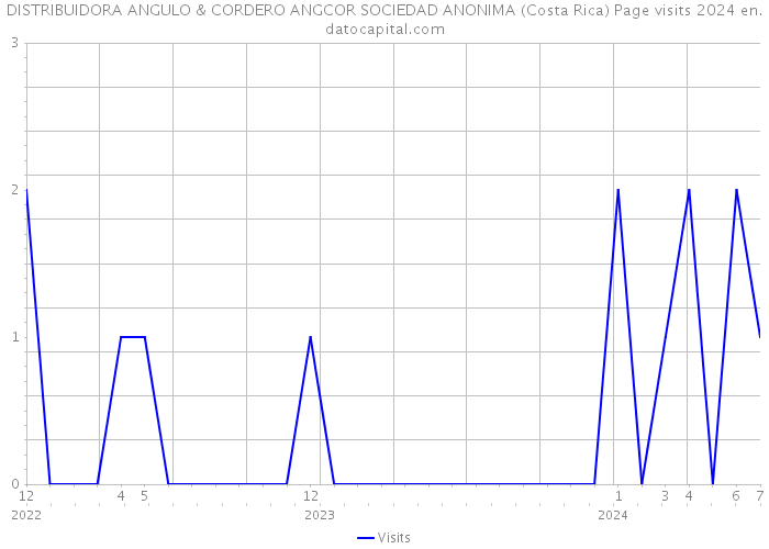 DISTRIBUIDORA ANGULO & CORDERO ANGCOR SOCIEDAD ANONIMA (Costa Rica) Page visits 2024 