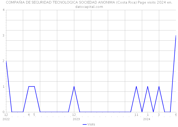 COMPAŃIA DE SEGURIDAD TECNOLOGICA SOCIEDAD ANONIMA (Costa Rica) Page visits 2024 