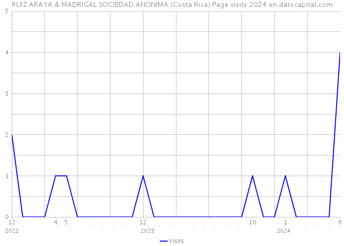 RUIZ ARAYA & MADRIGAL SOCIEDAD ANONIMA (Costa Rica) Page visits 2024 