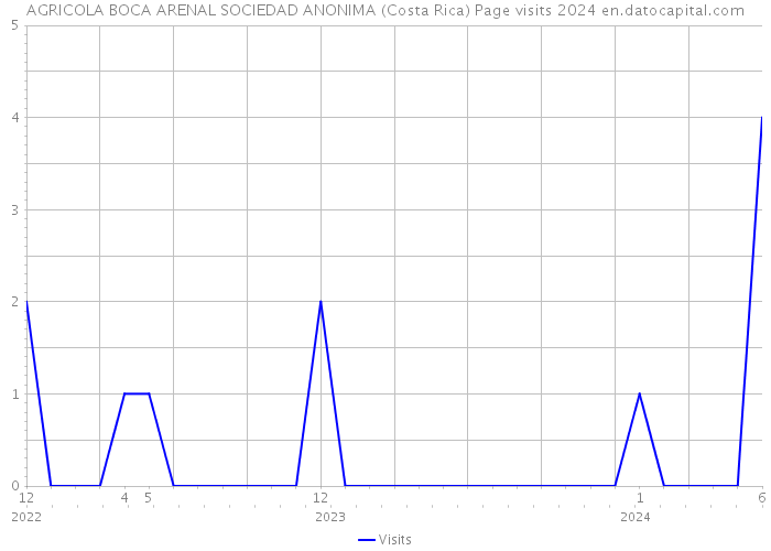 AGRICOLA BOCA ARENAL SOCIEDAD ANONIMA (Costa Rica) Page visits 2024 