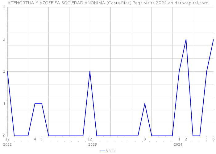 ATEHORTUA Y AZOFEIFA SOCIEDAD ANONIMA (Costa Rica) Page visits 2024 